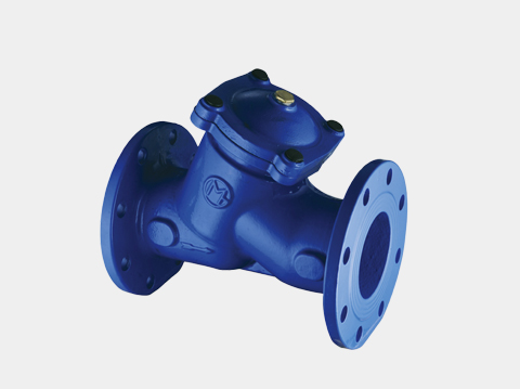 GL41H-16Q Y型過濾器